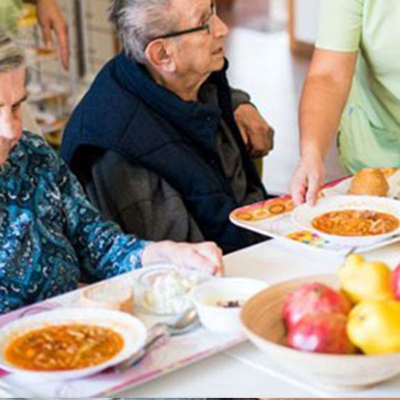NUTRITION SERVICES 